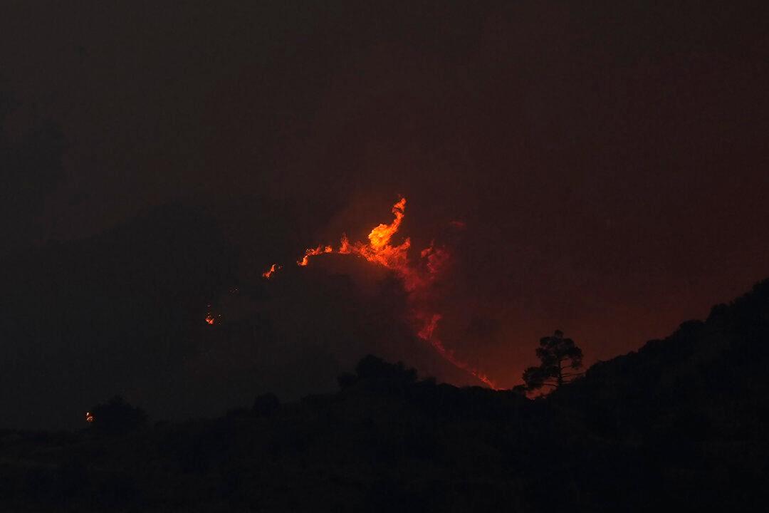 Cyprus: 4 Found Dead in ‘Most Destructive’ Forest Blaze