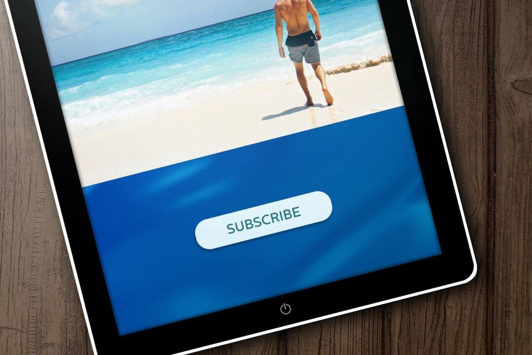 Increase Revenue Through Subscription Services