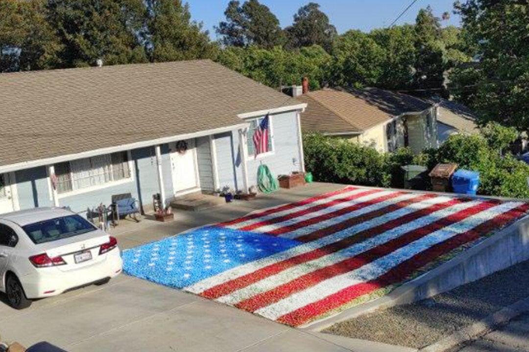 US Army Veteran Spray Paints Huge American Flag on Front Lawn for Fourth of July