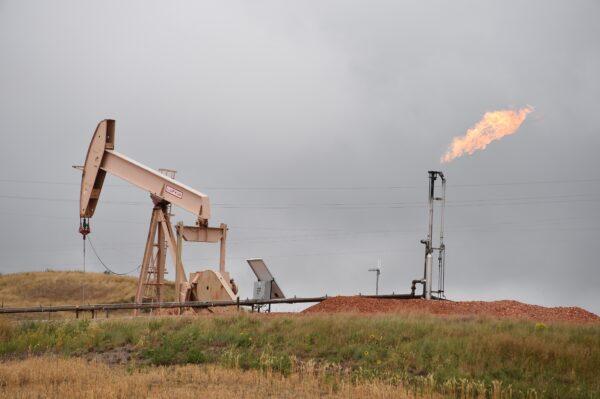 North Dakota is the second-most productive state in crude oil manufacture. Photo was taken near Williston, N.D., on Sept. 6, 2016. (Robyn Beck/AFP via Getty Images)