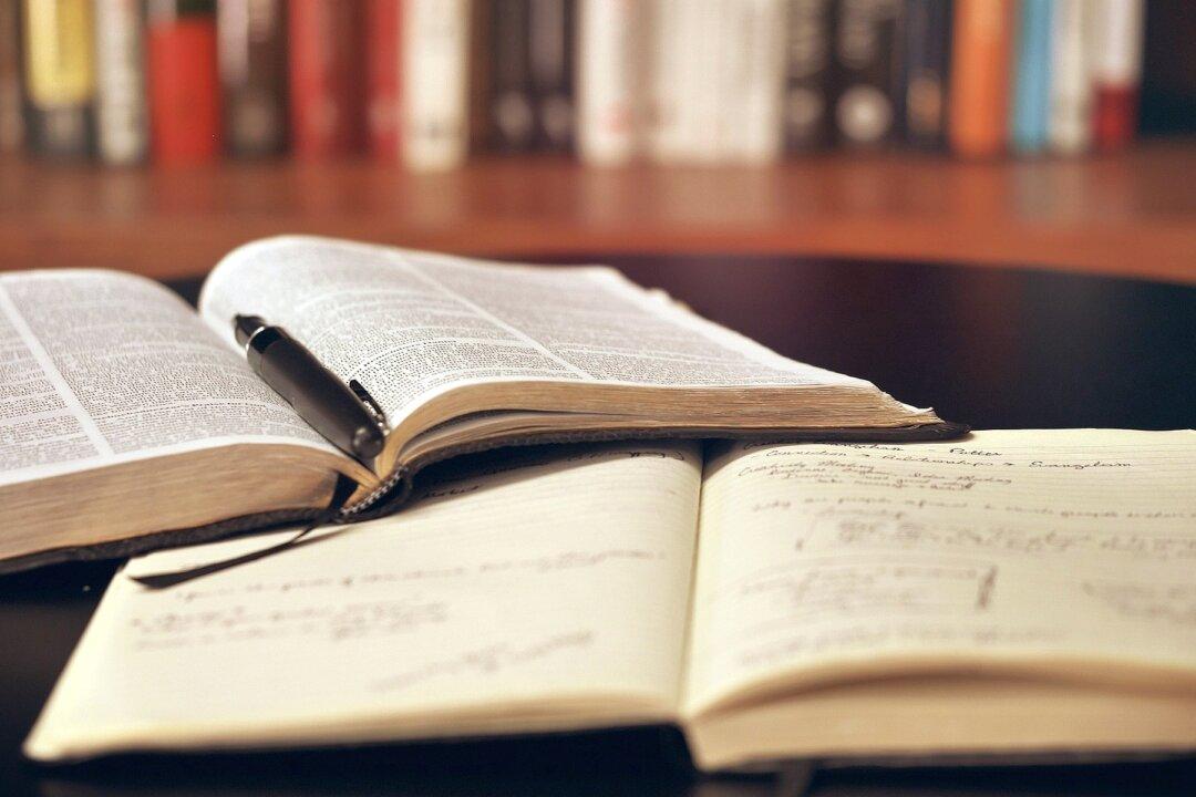 Who Are the Real Bullies on Race?