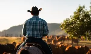 The Hard Things Men Still Carry