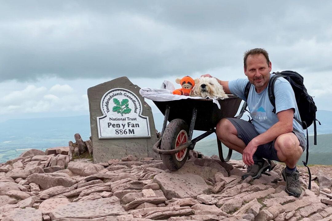Man Takes His Dying Labradoodle Up His Favorite Mountain for One Last Walk in a Wheelbarrow