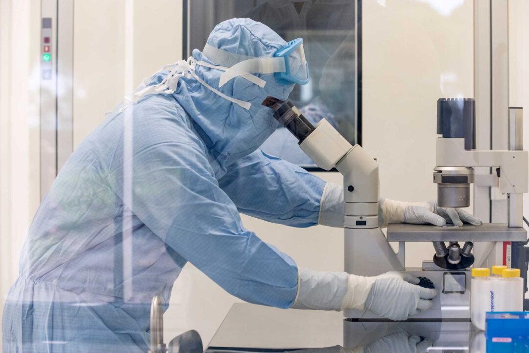 NIH Investigating Boston University’s COVID-19 Study With ‘80 Percent’ Mortality in Mice