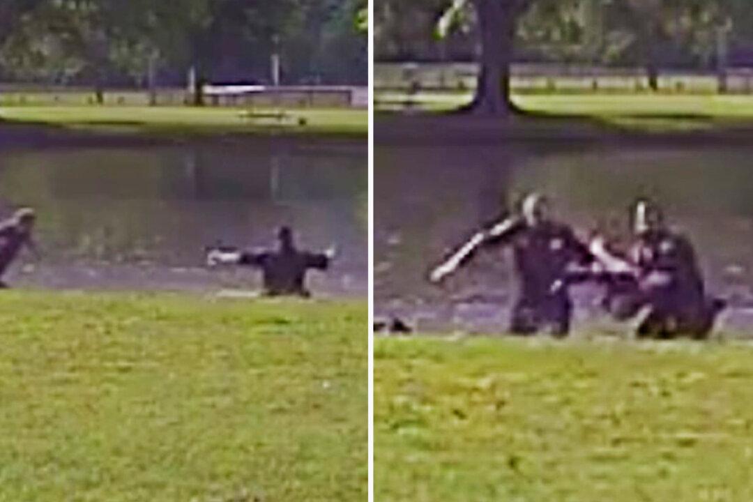 Incredible Dashcam Footage Shows Police Finding Missing Boy in Pond, Leaping In, Saving His Life