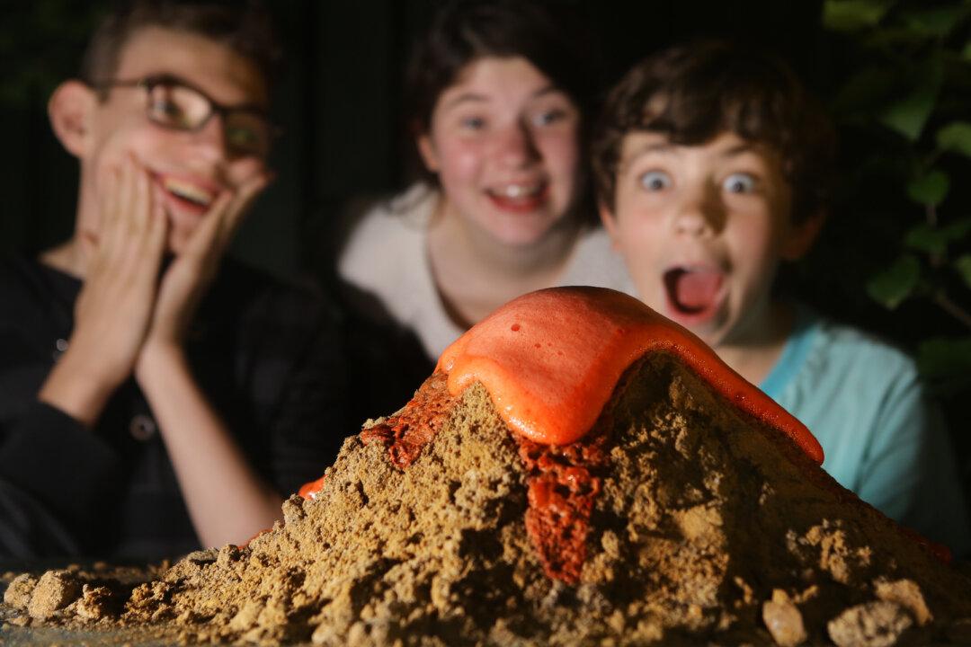 Homeschool Science: Expert Tips to Make It Fun and Simple