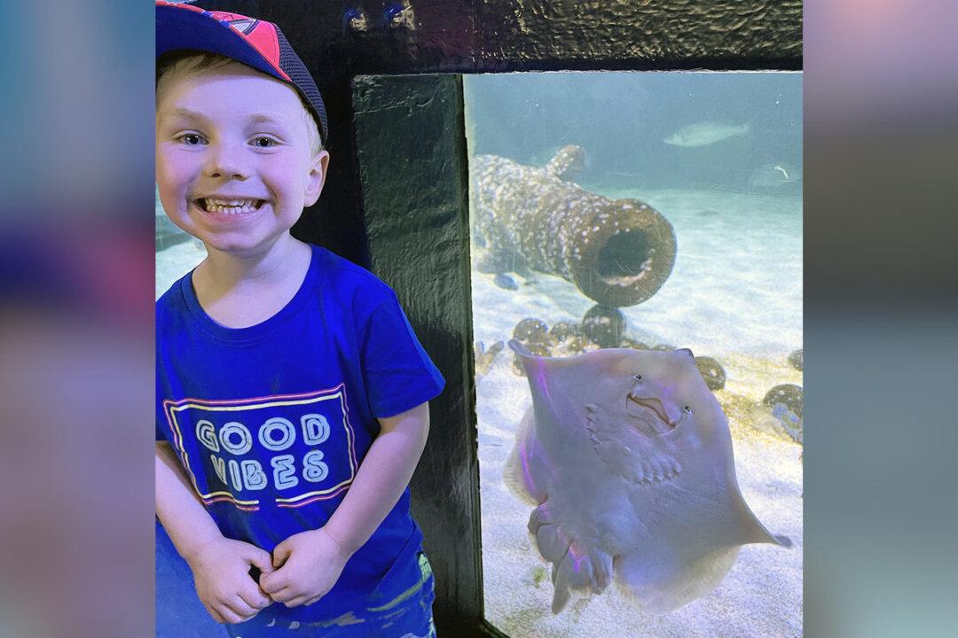 A ‘Really Happy’ Stingray Photobombs 3-Year-Old Boy During a Trip to the Zoo