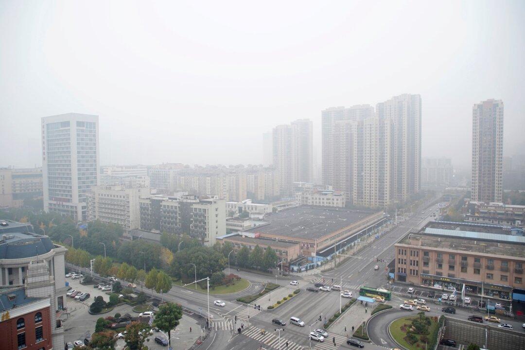 Germany Calls on China to Allow Further Investigations Into COVID Origins