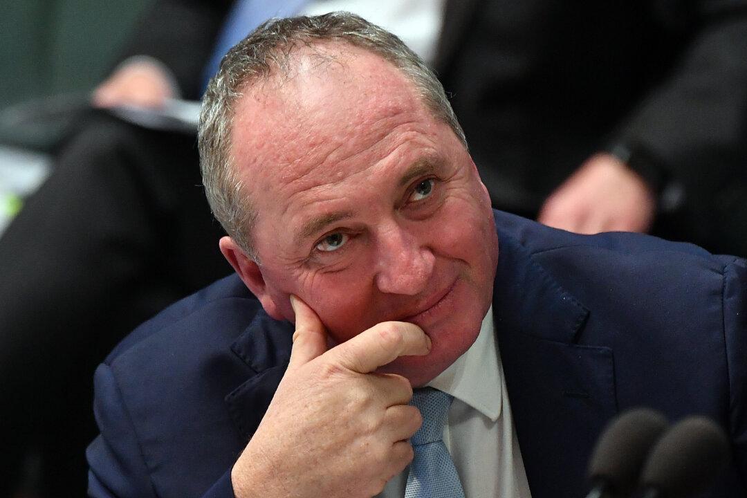 Former One Nation MP Warns Barnaby Joyce ‘It’ll End in Tears’