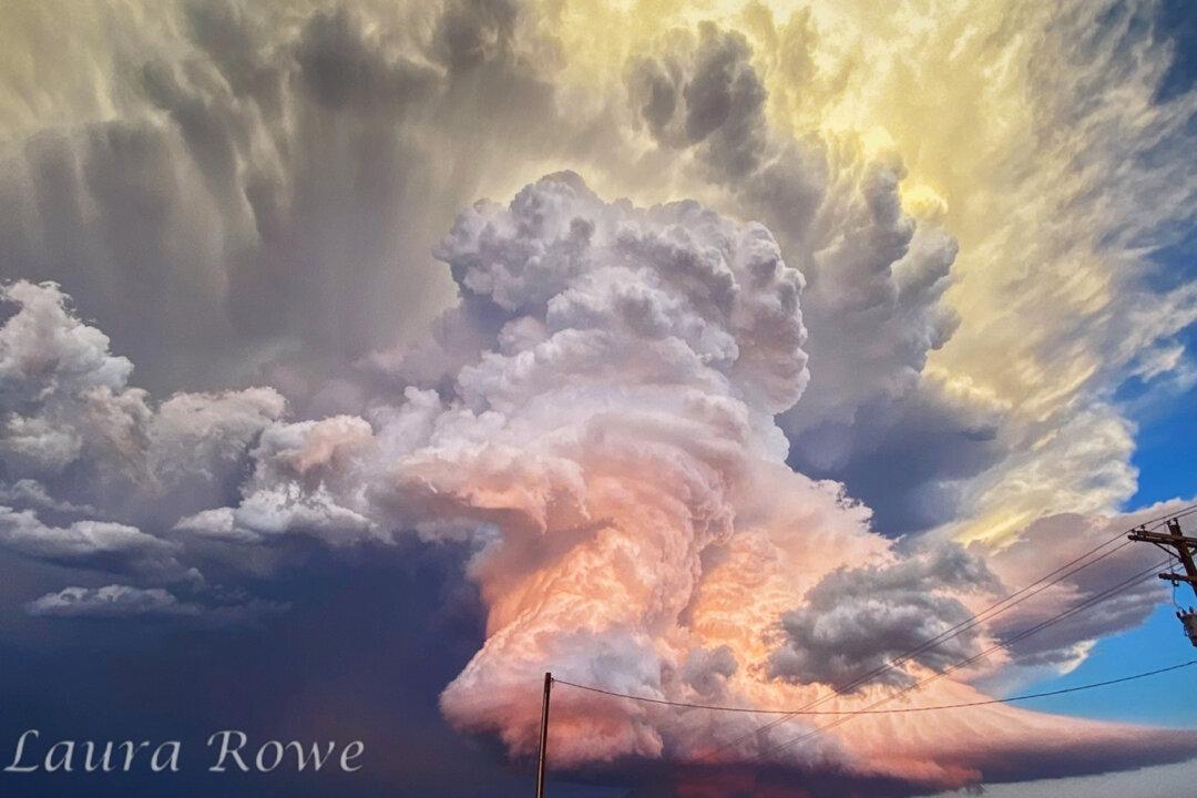 Photographer Chases Storm to Capture Unbelievable Shot as Tornado Touches Down in Texas Sunset