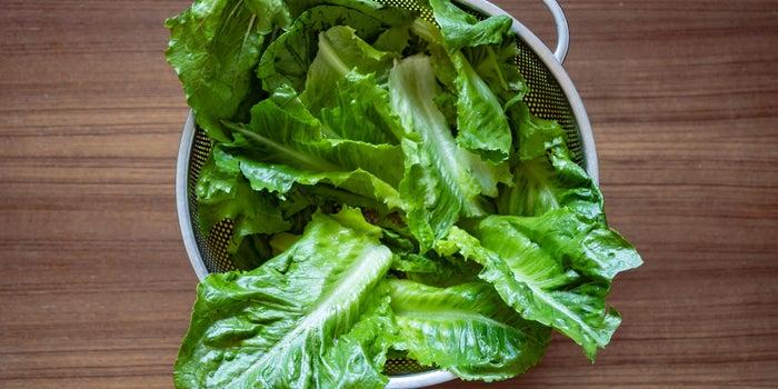 Recall on Packaged Lettuce Sold in Walmart, on Salmonella Concerns