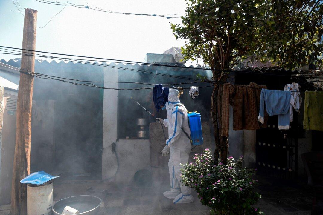 India Reports First Human Death From Bird Flu