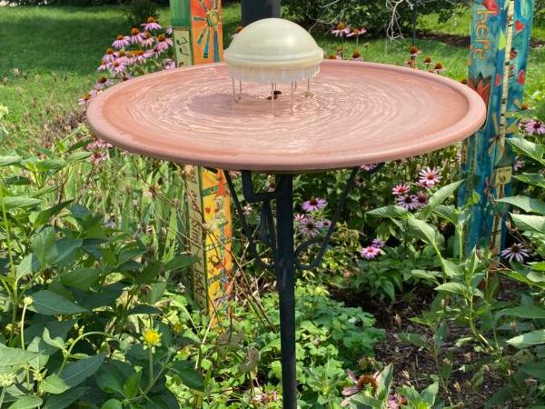 The water wiggler in a birdbath in the side yard of Wild Birds Unlimited in Springfield, Illinois, can attract wild birds through the ripples the water wiggler creates by agitating the water in the birdbath. (Tamara Browning)