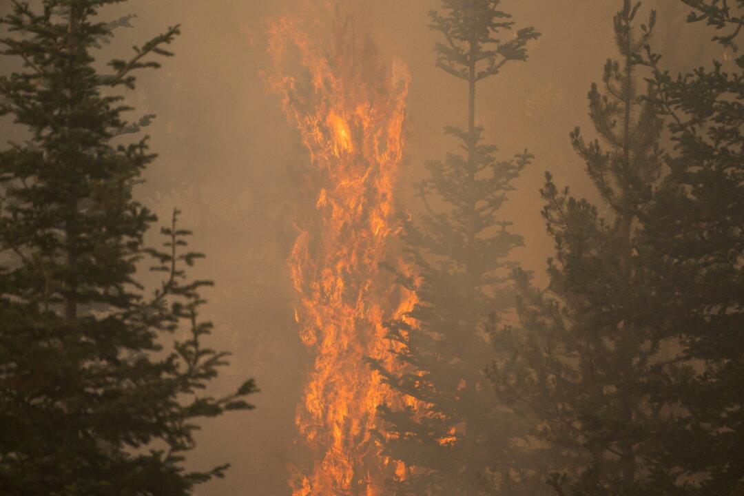 Lightning Found to Have Ignited Oregon’s Mammoth Bootleg Fire
