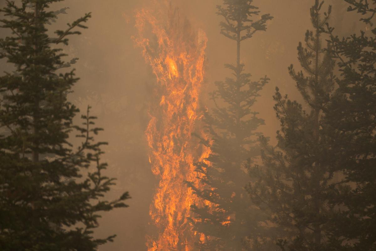 Lightning Found to Have Ignited Oregon’s Mammoth Bootleg Fire