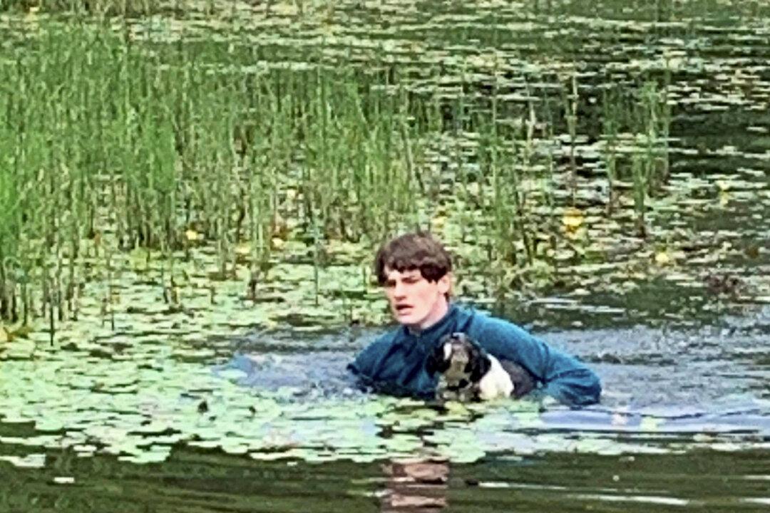 Teen Tourist on a Holiday is Hailed a ‘Hero’ After Saving a Dog From Drowning in a Lake