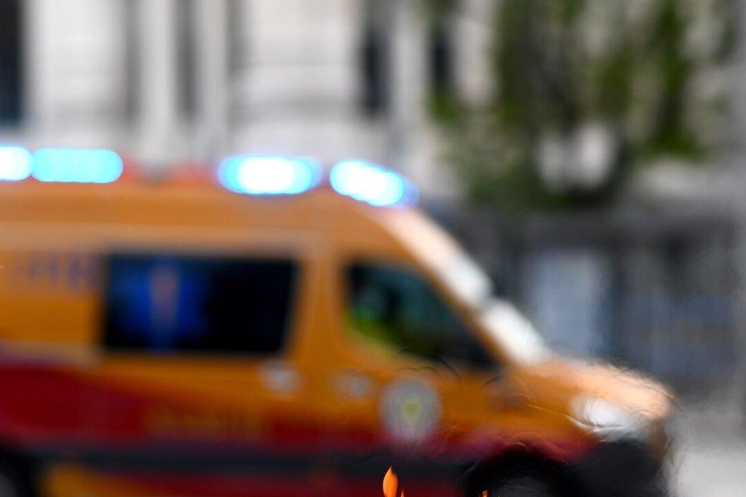 Spanish Teenaged Cyclist Dominguez Killed in Hit-and-Run