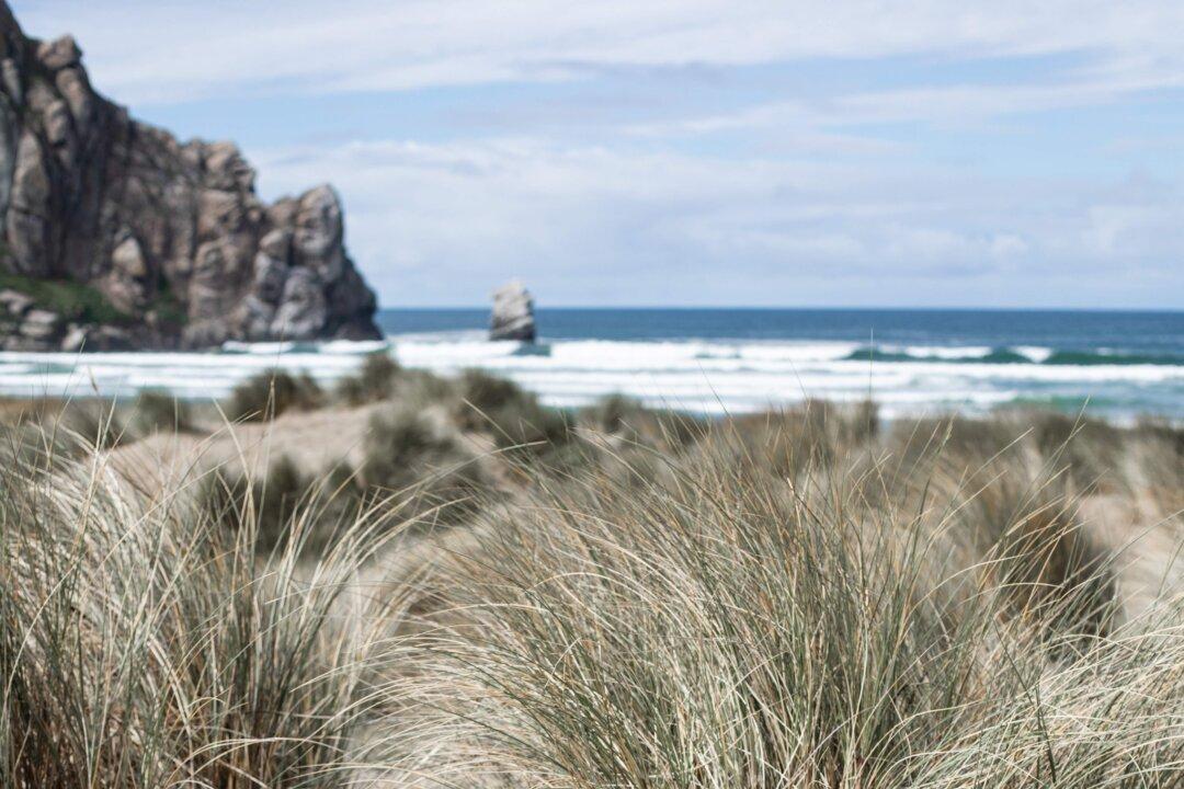 Perfect Picnics: Making the Most of Summer