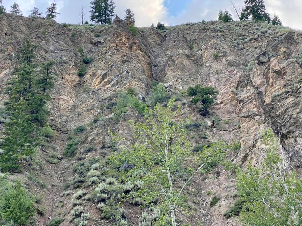 (Courtesy of Ron Bateman/<a href="https://www.facebook.com/woodriverfirerescue">Wood River Fire & Rescue</a>)