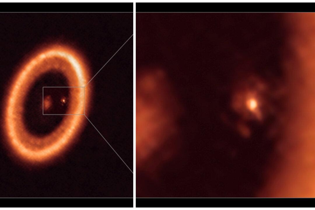 Moon-Forming Region Seen Around Planet in Another Solar System