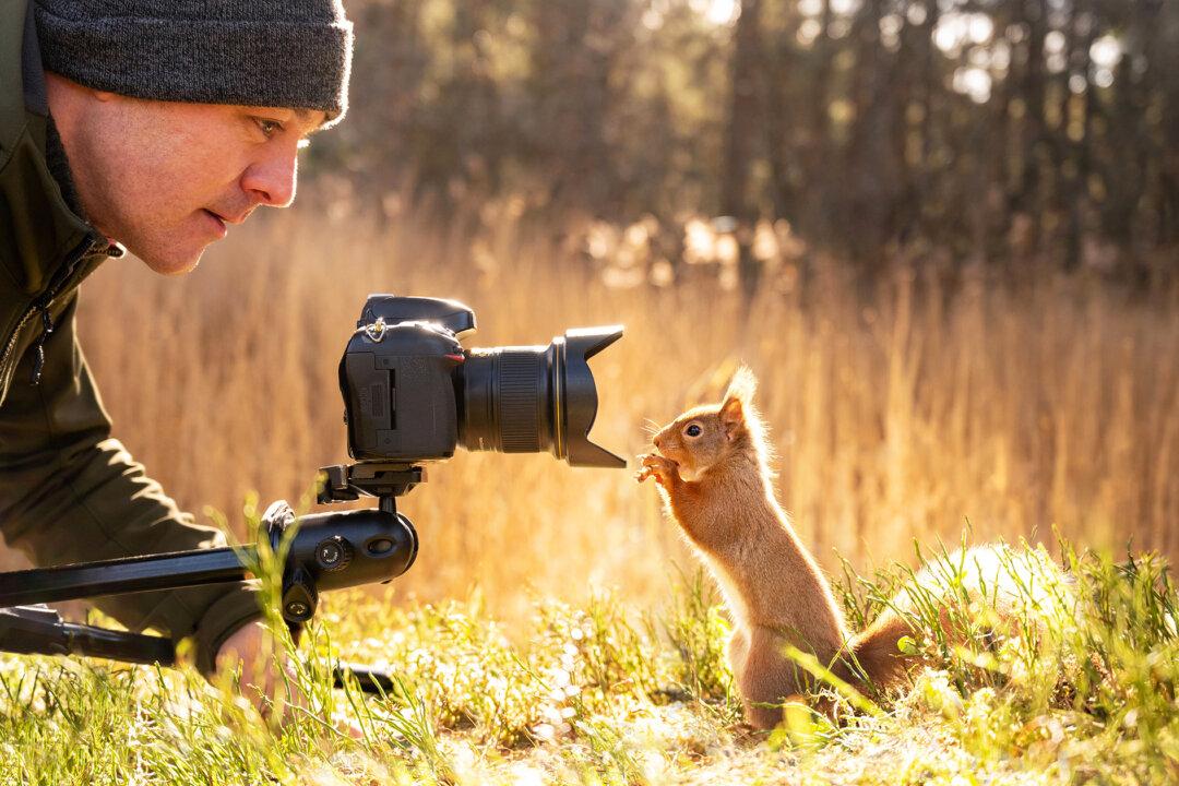 Curious Squirrels and a Tiny Bird Team Up to Investigate Photographer’s Camera