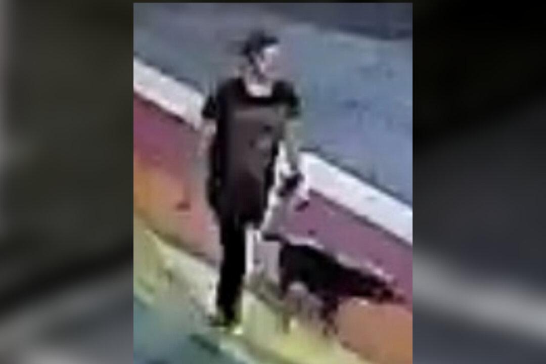 Woman Walking Her Dog in Atlanta Park Stabbed to Death