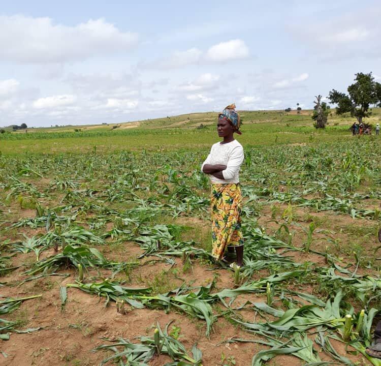 Terrorists Wage Food War in Northern Nigeria