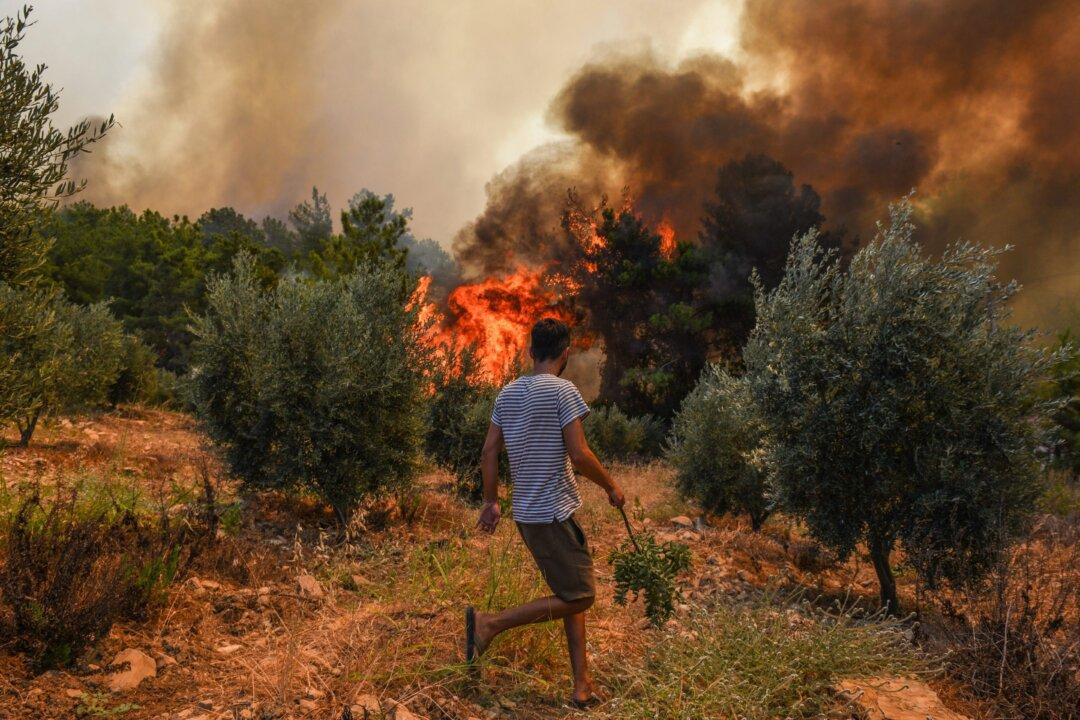 Turkey Evacuates Panicked Tourists by Boat From Wildfires