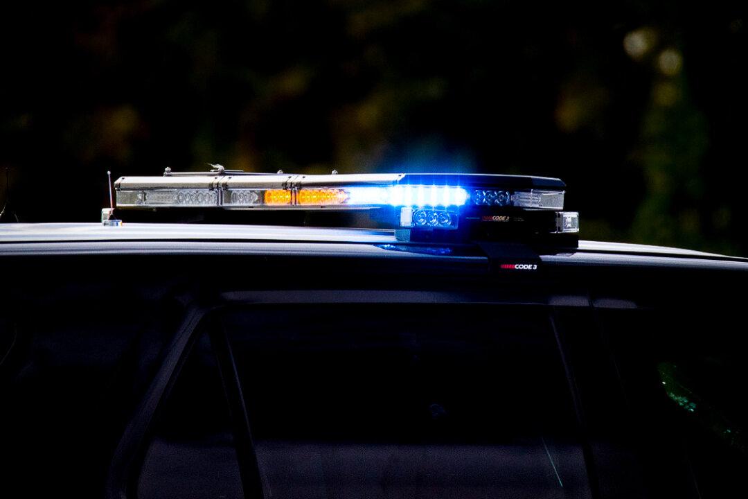 3-Year-Old Dies of Apparent Overdose, Twin in Critical Condition, Mother Arrested
