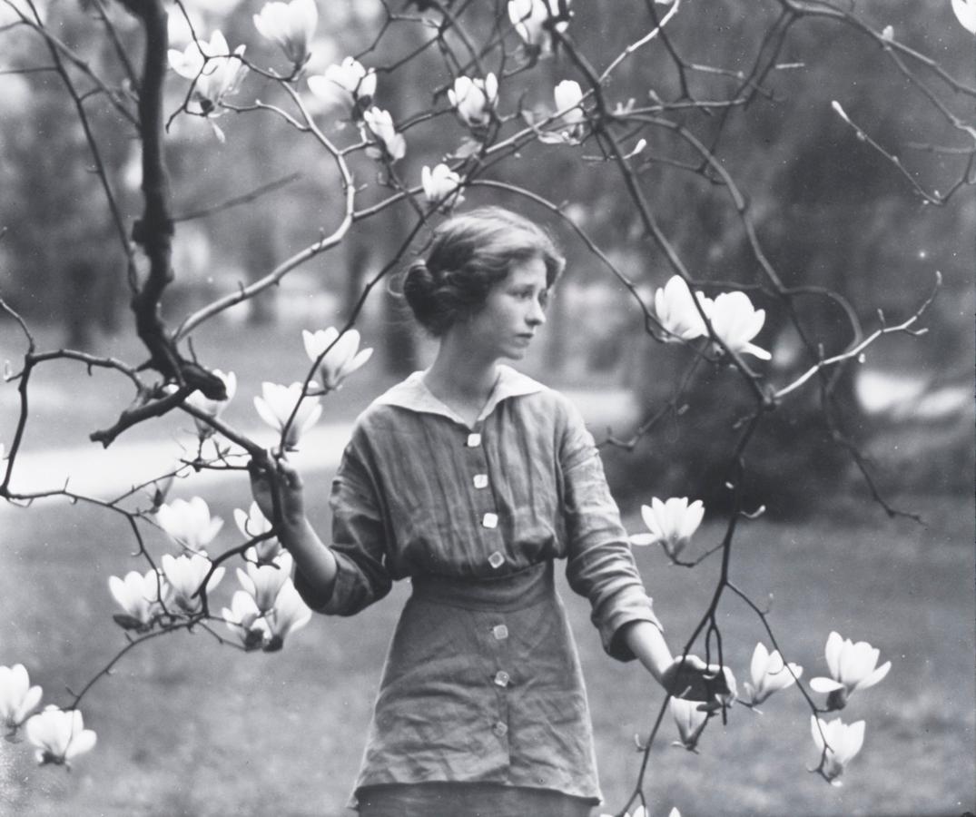 What Good Is Poetry? ‘Euclid Alone Has Looked on Beauty Bare’