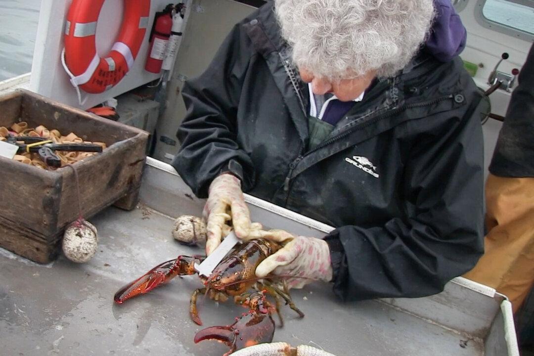 101-Year-Old Maine Woman Has Lobstered Since She Was 8—Claims She Will Retire ‘When I Die’