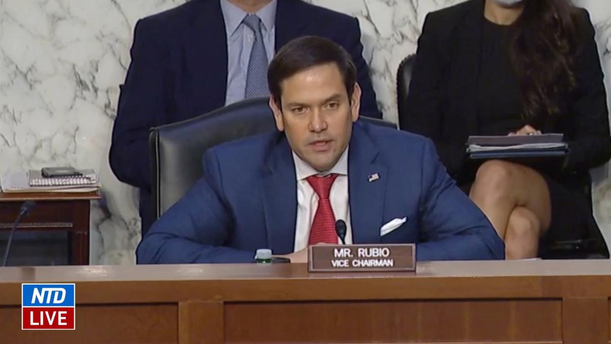 US Lawmakers Warn Following Ukraine’s Call for No-Fly Zone Would Lead to ‘World War III’