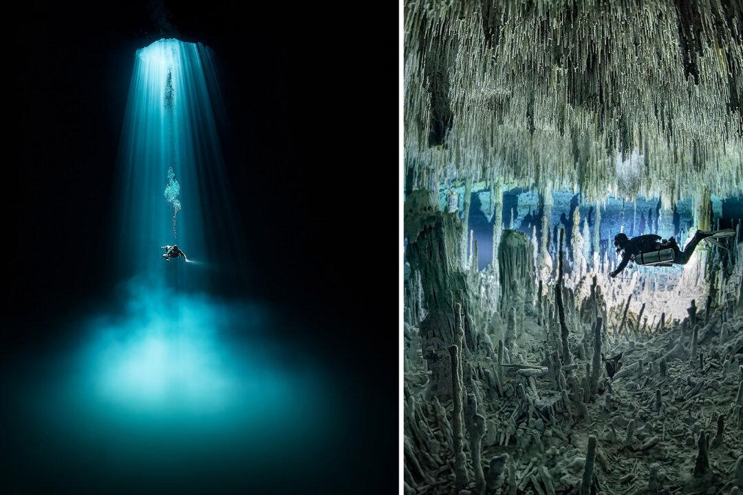 Diver Explores Underwater Caves in Mexico—and the Photos Are Unreal