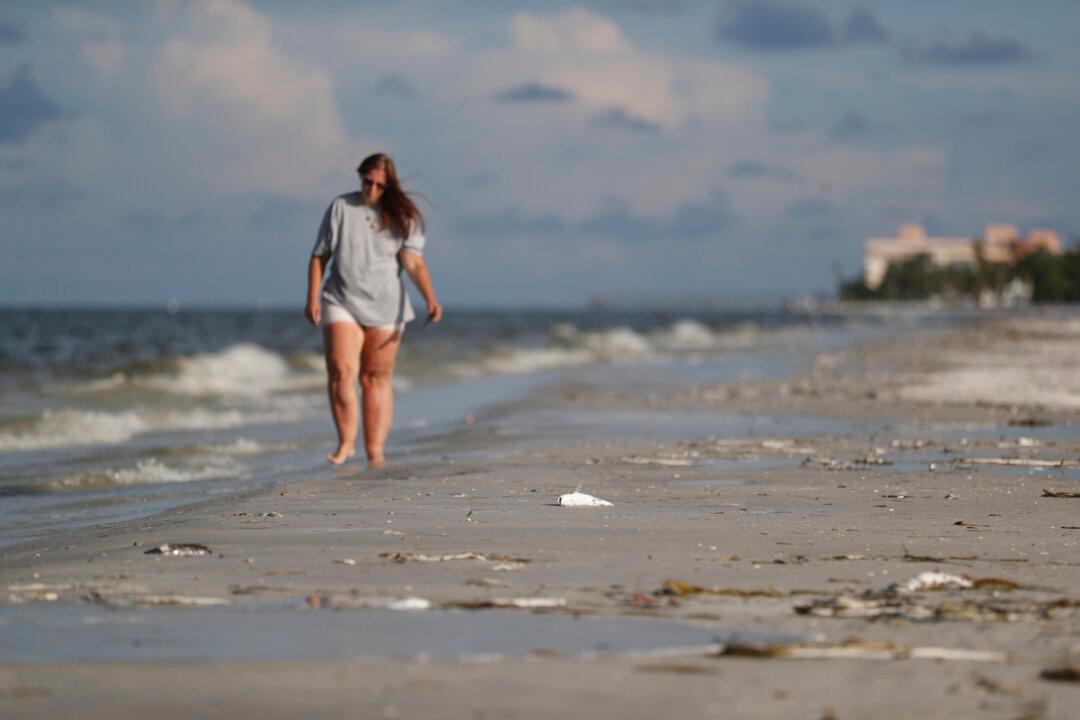 Florida’s Red Tide Ebbs Into Political Arena