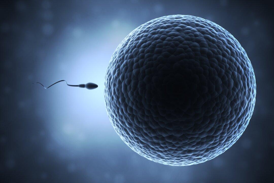 Why Is Male Fertility Declining?