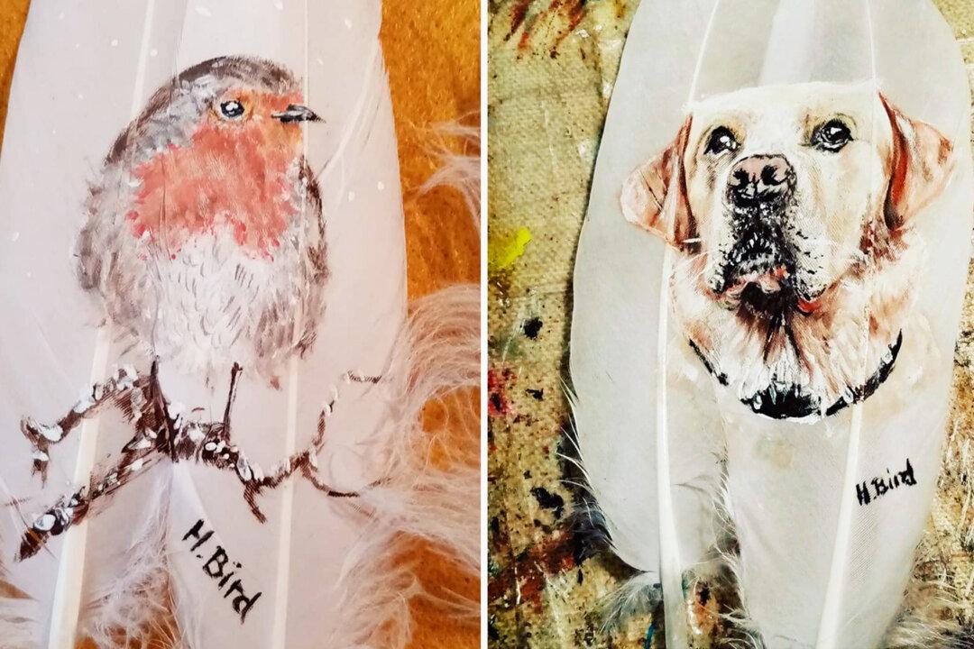 Photos: Artist Paints Amazing Photos of Birds and Pets on Feathers