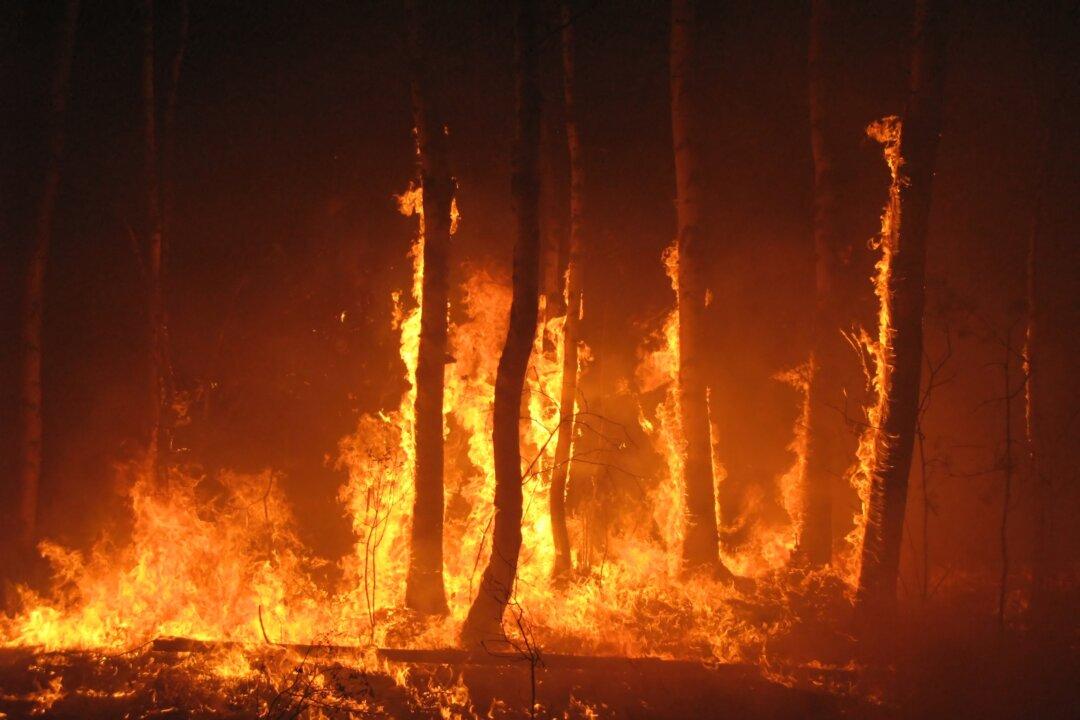 What’s in Wildfire Smoke?