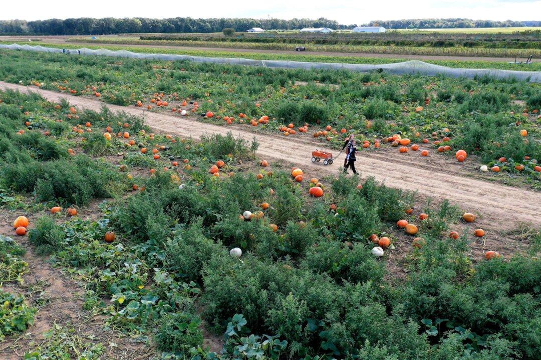 Farmers Cry Foul Over Biden’s Death Tax Proposal