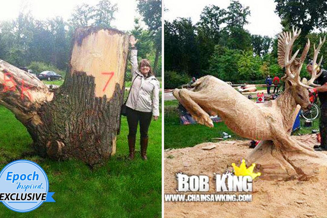 Chainsaw Artist Breathes New Life Into Wood Creating Incredible Pieces of Art