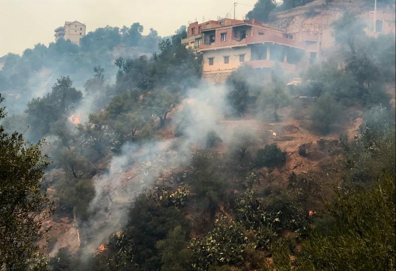 Death Toll From Algeria Forest Fires Rises to 42