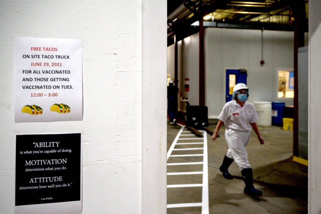 Vermont, Most Vaccinated US State, Reports Record 527 COVID-19 Cases