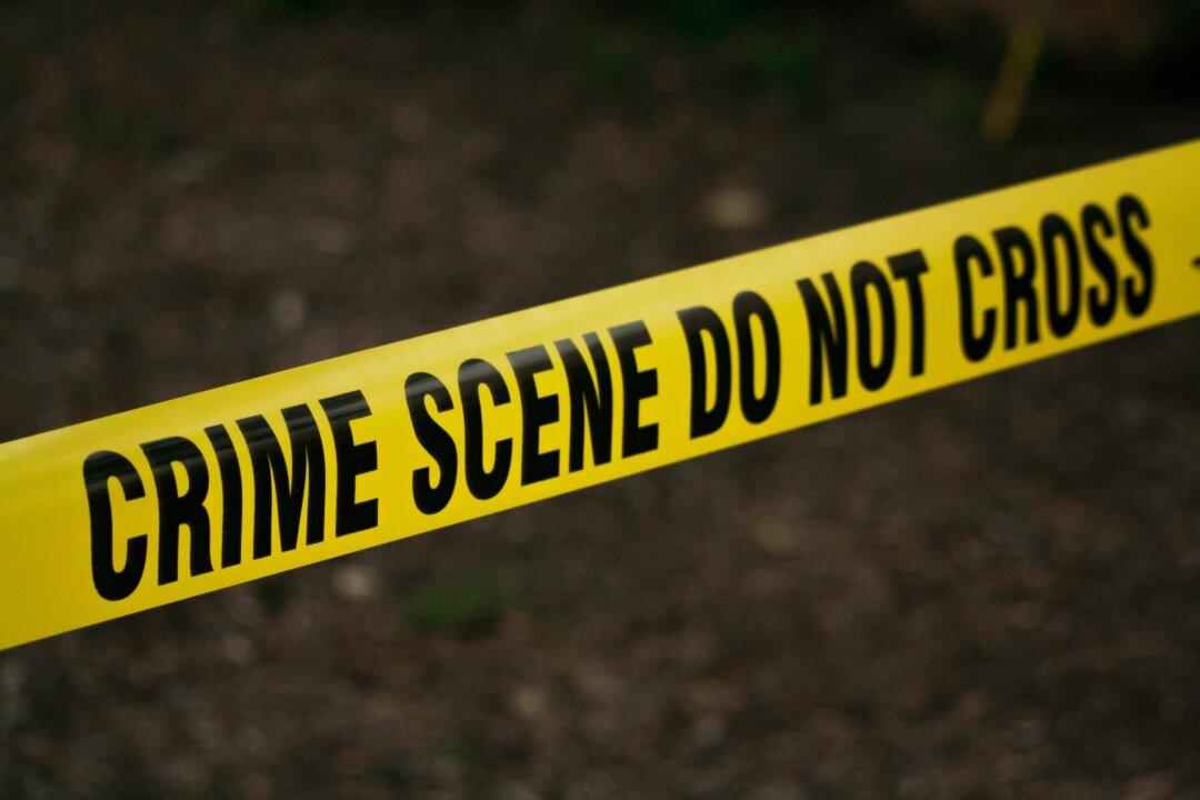 Woman Stabbed to Death in Los Angeles, Suspect Flees in White Minivan