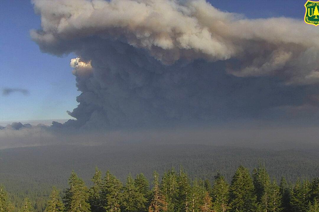 California Utility Cutting Power to 51,000 Customers Amid Dangerous Wildfire Conditions
