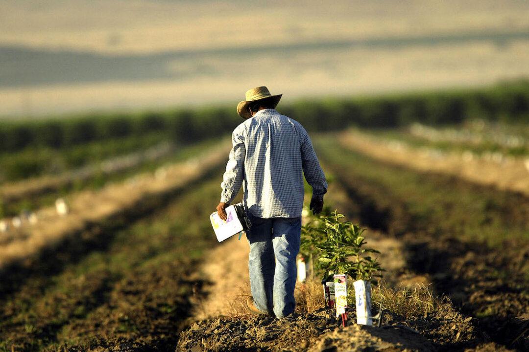 Biden’s EPA to Ban Widely Used Pesticide Over Links to Negative Health Effects