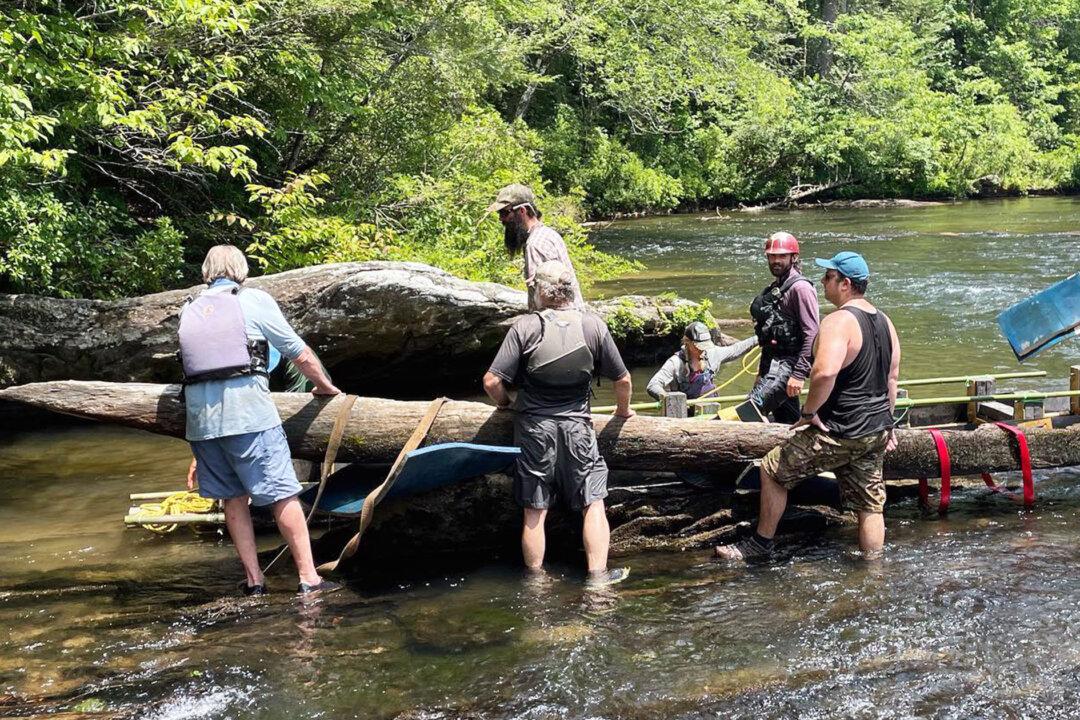 Archaeologists Pull Native American Canoe Carved in 1700s From South Carolina River