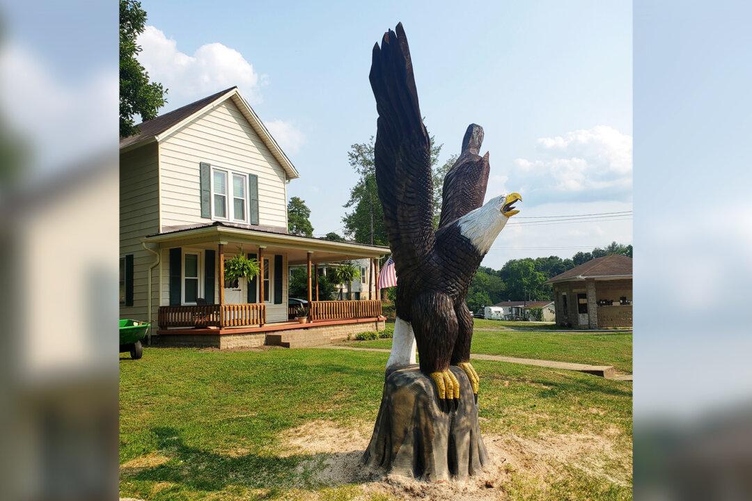 Ohio Craftsman Sculpts Massive Wooden Bald Eagles for Veterans: ‘I Am Humbled’