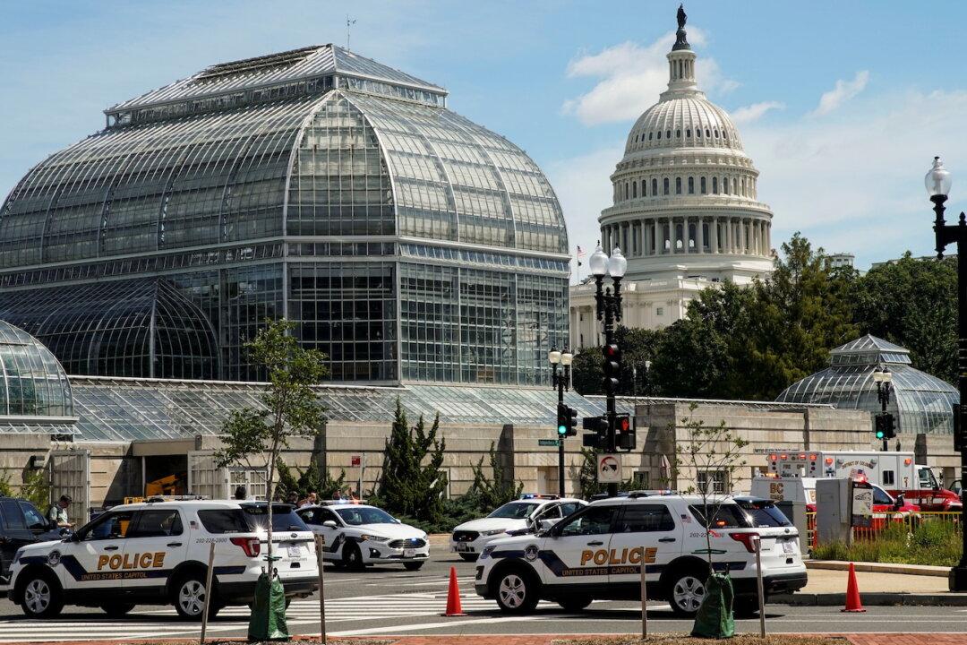 North Carolina Man Pleads Not Guilty to US Capitol Bomb Threat Charges