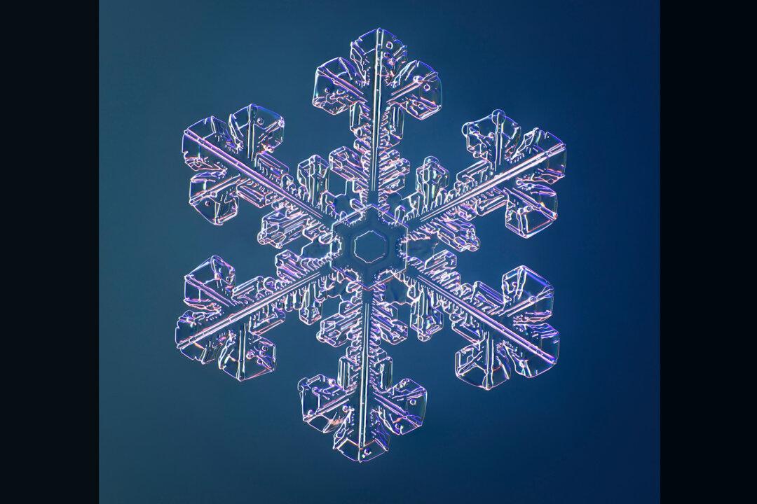 Macro Photographer Snaps Exquisite Crystalline Snowflakes Using Special Camera He Built Himself