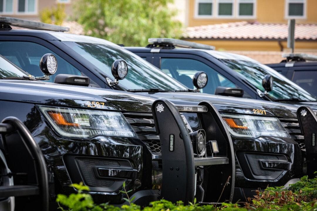 Kitten Saved From Dumpster Needs a Home