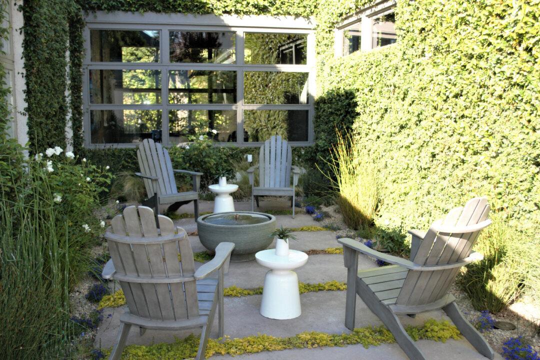 Napa Valley’s Charm Lives On